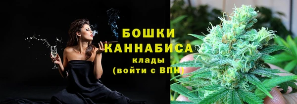 сатива Алексин