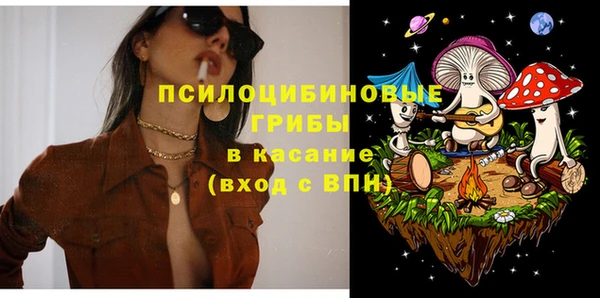 прущие грибы Новокубанск