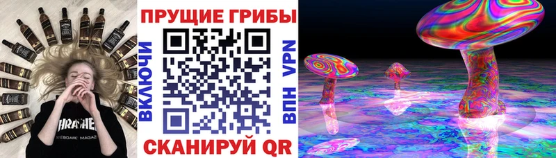 OMG сайт  Мичуринск  Галлюциногенные грибы ЛСД 